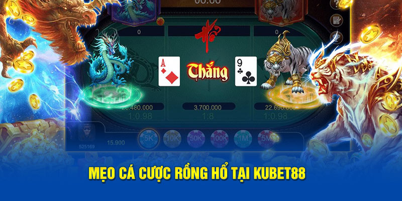 Kinh nghiệm chơi Rồng Hổ tại Kubet88