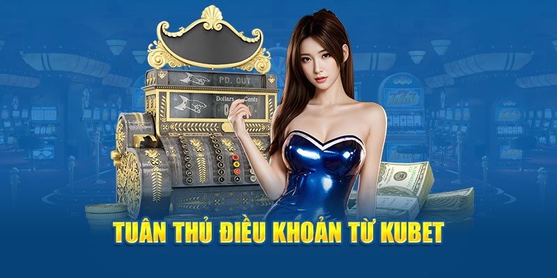 Tuân thủ điều khoản từ Kubet88