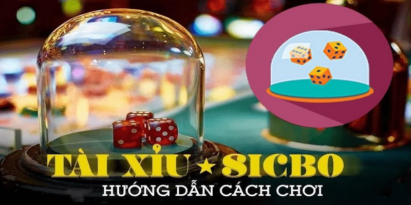 Áp dụng phương pháp vào vốn hiệu quả gấp thếp