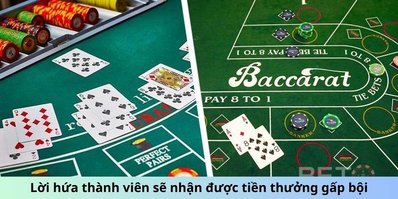 Lời hứa thành viên sẽ nhận được tiền thưởng gấp bội